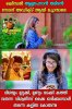 FB_IMG_1502442817767.jpg