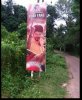 IMG_20170817_091939.jpg