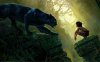 mowgli_bagheera_black_panther_the_jungle_book-wide.jpg