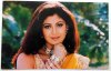 Bollywood-Beautiful-Actress-Shilpa-Shetty-India.jpg