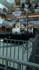 IMG-20180606-WA0011.jpg