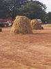 IMG-20181018-WA0056.jpg